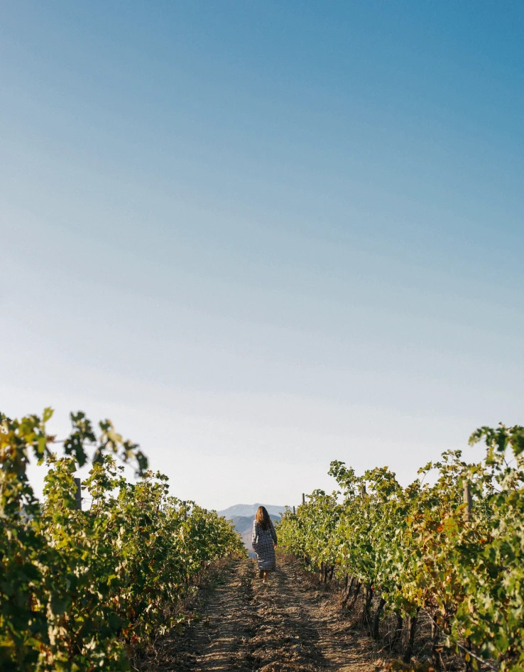 Vineyard Getaway slide 0