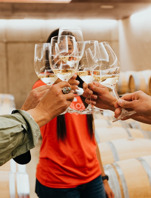 experiencies visita celler tast vins c mas gil mob