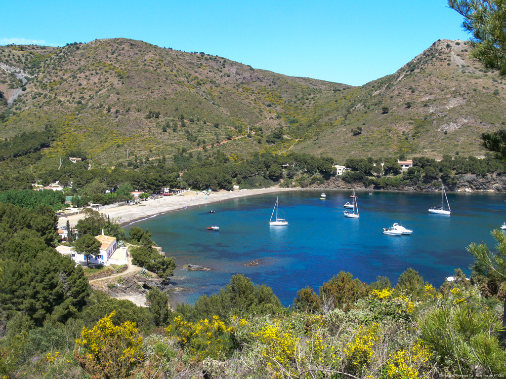 Cala Montjoi. Francesc Tur. Arxiu Imatges PTCBG