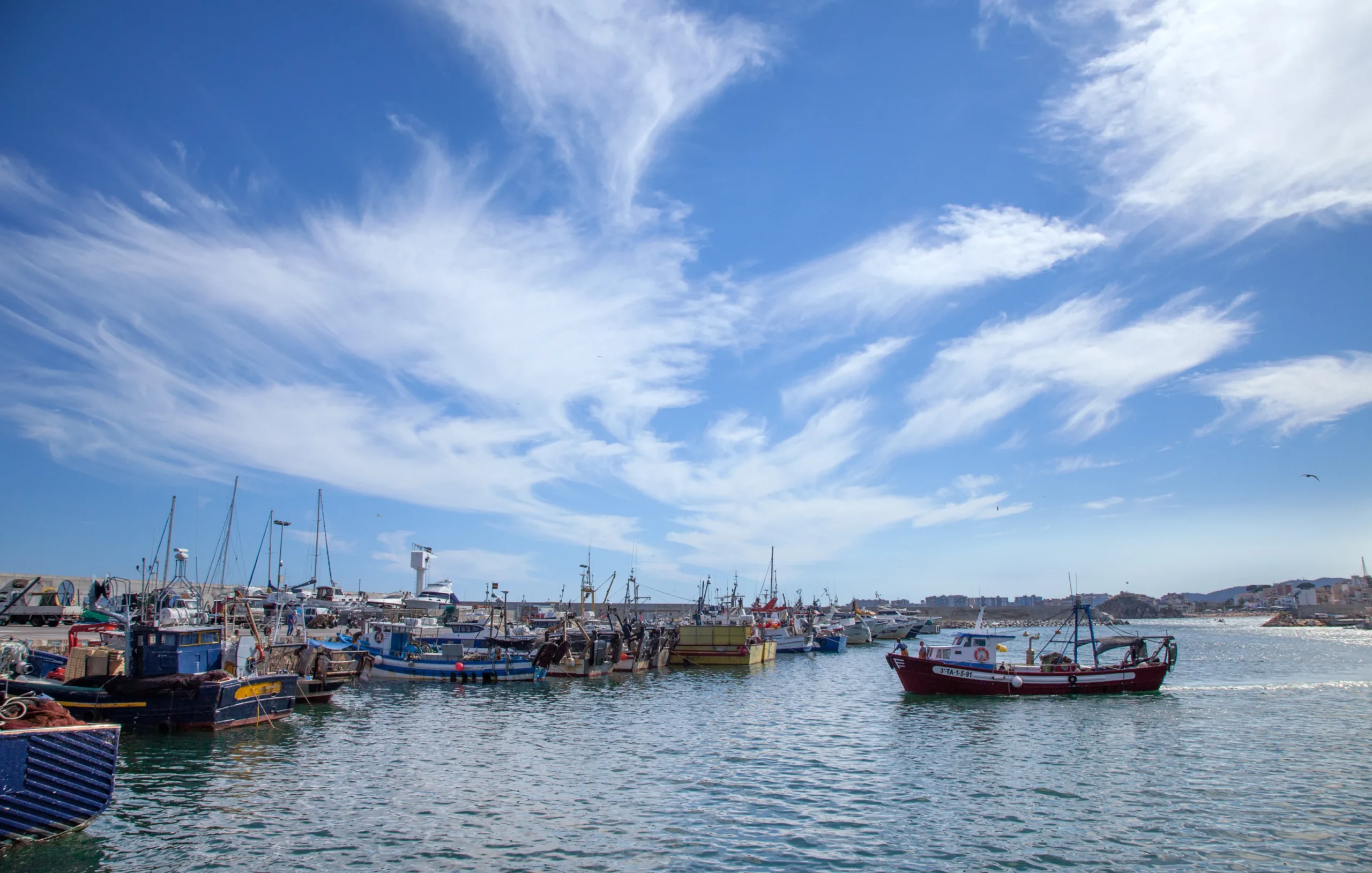 Blanes. Maria Geli i Pilar Planaguma. Arxiu Imatges PTCBG_G 1 scaled