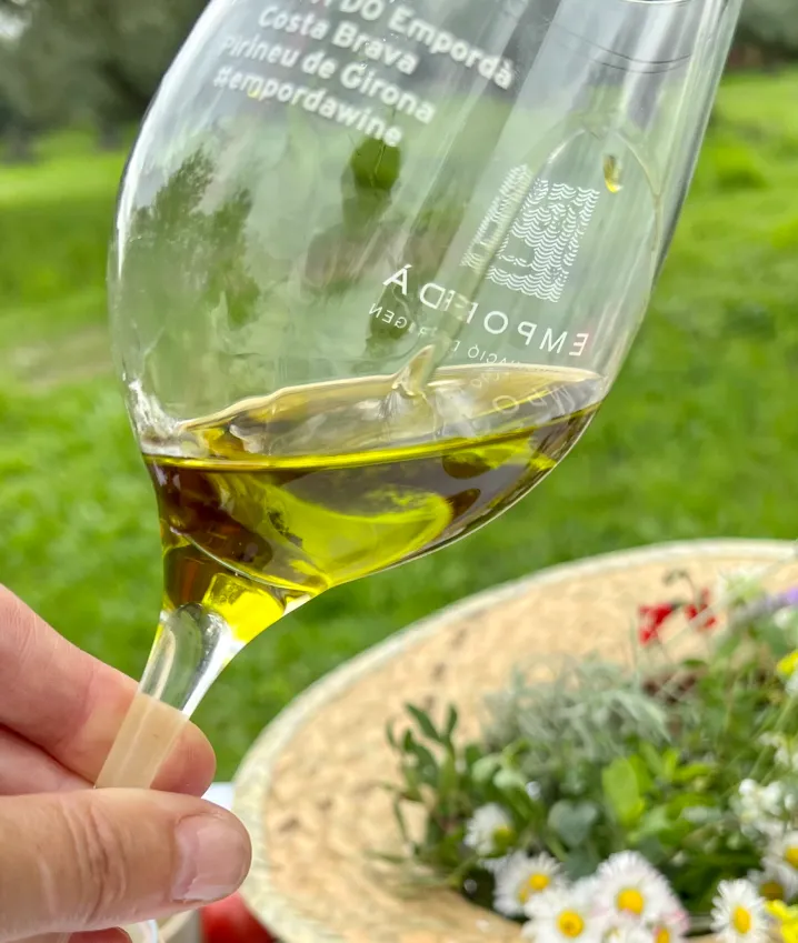 Tast dolis amb dinar. Iolanda Bustos. Dest